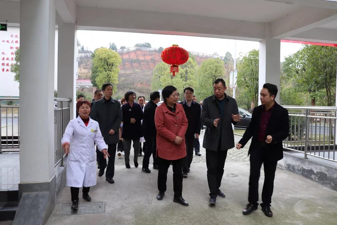 湖南省衛(wèi)生健康委黨組成員、計(jì)生協(xié)常務(wù)副會(huì)長康代四一行蒞臨海福祥考察